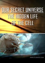 Our Secret Universe The Hidden Life Of The Cell Downloads