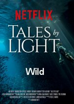 Tales by Light Wild