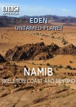 Namib: Skeleton Coast and Beyond