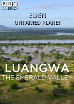 Luangwa: The Emerald Valley