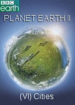 Planet Earth II Cities