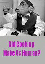 Did Cooking Make Us Human