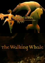 Evolutions: The Walking Whale