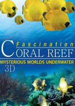 Fascination Coral Reef