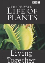 The Private Life of Plants Living Together