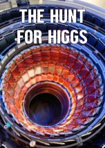 The Hunt For Higgs